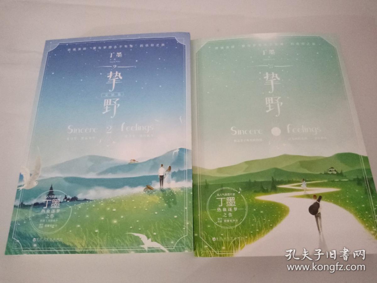 挚野，挚野2完结篇