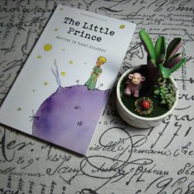 The Little Prince (Wordsworth Children's Classics)小王子 英文原版