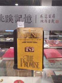 DANIELLE STEEL THE PROMISE（英文版，丹尼尔·斯蒂尔《承诺》）