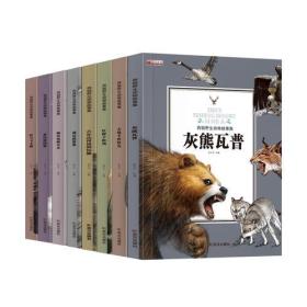 西顿动物故事 套装共8册（大角羊+松鸡+灰熊+浣熊+棉尾兔+猫+狼+野马）