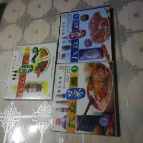 大众菜谱  （2、3、4）  3VCD