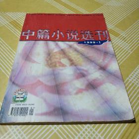 中篇小说选刊1999.1