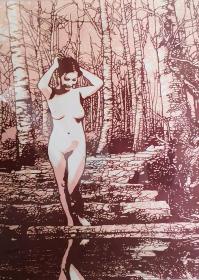 版画---溪边浴影
