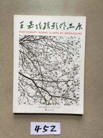 王嘉陵摄影作品集【四川美术学院教授】