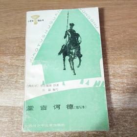 堂吉柯德（缩写本）