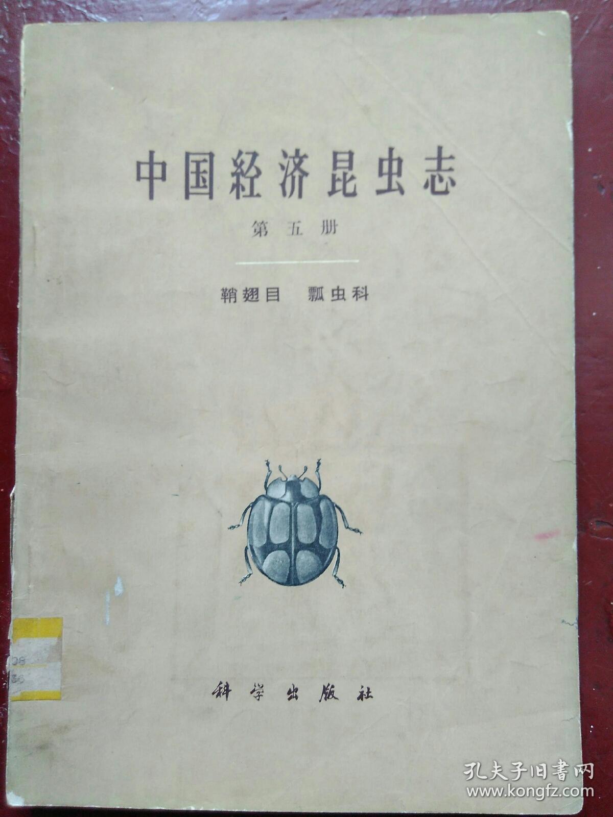 中国经济昆虫志 第五册 鞘翅目 瓢虫科