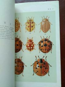 中国经济昆虫志 第五册 鞘翅目 瓢虫科