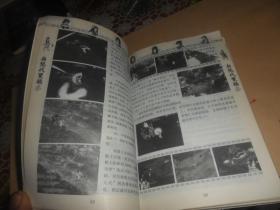 新绝代双骄(三)权威攻略(含光盘) 正版现货