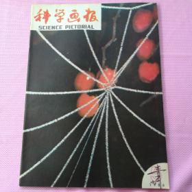 科学画报1986.5