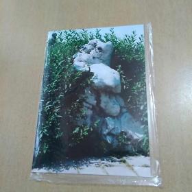 太湖石（尺寸：12.7x8.9）