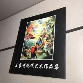 王家明现代艺术作品集