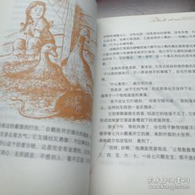 夏洛的网