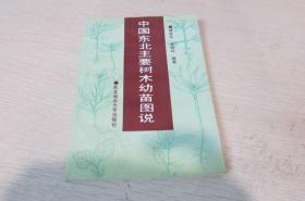 中国东北主要树木幼苗图说