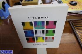 HIROSHI SENJU 千住博  Falling color 千住博的颜色世界  收录56件作品  品好包邮