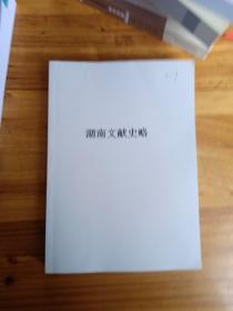 湖南文献史略  好资料书 16开409页