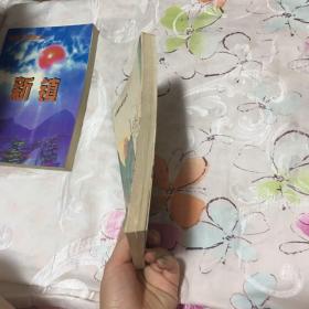 绣戈袍全传