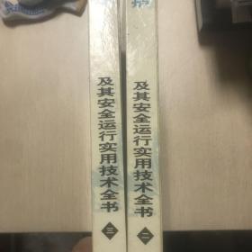 工业锅炉国内外最新标准及其安全运行实用技术全书   (第2.3卷）