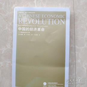 中国的经济革命：20世纪的乡村工业