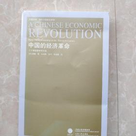 中国的经济革命：20世纪的乡村工业