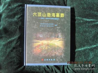 六顶山渤海墓葬：2004-2009年清理发掘报告