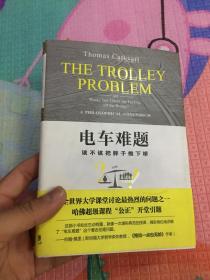 电车难题：该不该把胖子推下桥