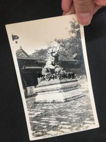 民国北京雍和宫喇嘛庙内铜狮及地上杂草等周边景象。影像细节极为清晰、颇为难得