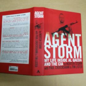 风暴探员 Agent Storm