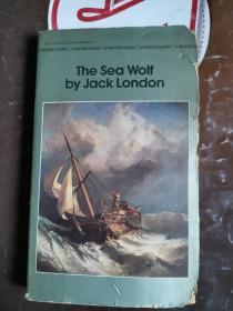 《The sea wolf》（《海狼》一书主要描写了主角亨佛莱·范·魏登在旧金山因海难落水遇救，被一艘猎海豹的船强迫带到日本附近海域，九死一生逃出险境的经历。小说写了许多在太平洋上的航行和捕猎海豹的细节：浓雾、风暴、季候风、对海豹的拉网式的捕猎和棒打、雾墙内外的捉迷藏、海员的种种生活经历，十分引人入胜。）