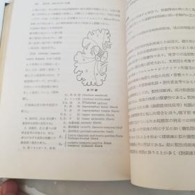 内科诊断学  医学丛书