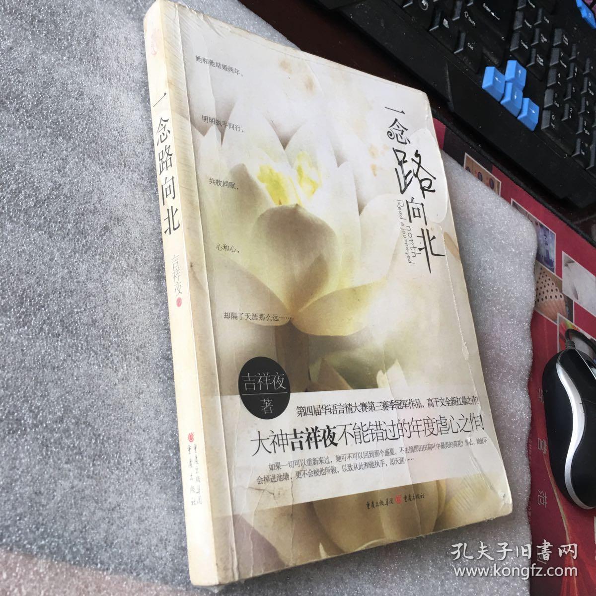 一念路向北