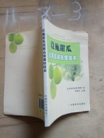 設(shè)施甜瓜優(yōu)質(zhì)高效栽培技術(shù)