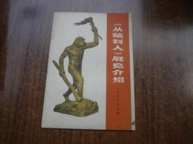 《从猿到人》展览介绍