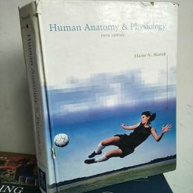 【英文原版 详情见图】Human Anatomy &physiology(人体解剖学与生理学)