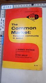 【馆藏】the common market：European community in action 共同市场：欧洲社会的行动【杨汝万教授个人藏书】