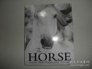 The Horse: Passion, Beauty, Splendor, Strength