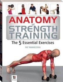 力量训练Anatomy of Strength Training 5 Essential Exercises