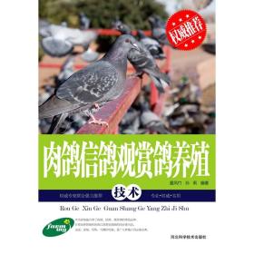 观赏鸽养殖技术书籍 肉鸽 信鸽 观赏鸽养殖技术