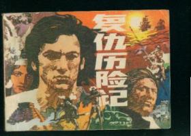 复仇历险记             ，
