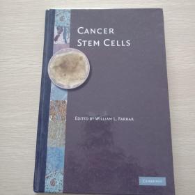 Cancer Stem Cells