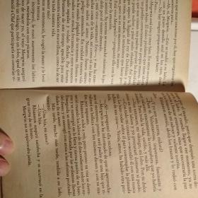 La mujer del vikingo