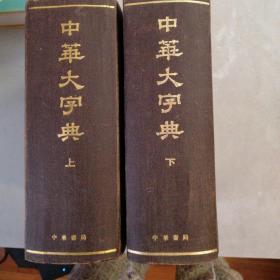 中华大字典（全二册）