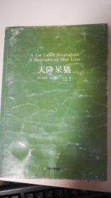 天降呆猫