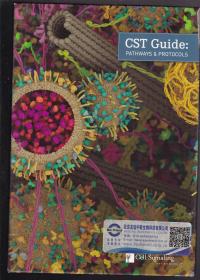 CST GUIDE PATHWAYS PROTOCOLS