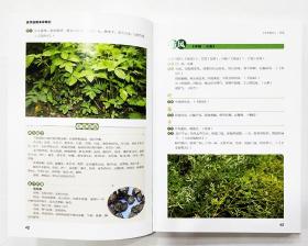 活学活用本草纲目