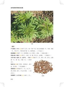 活学活用本草纲目