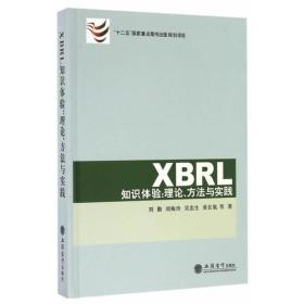 XBRL知识体验