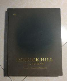 CARRICK HILL A PORTRAIT （卡里克·希尔肖像）