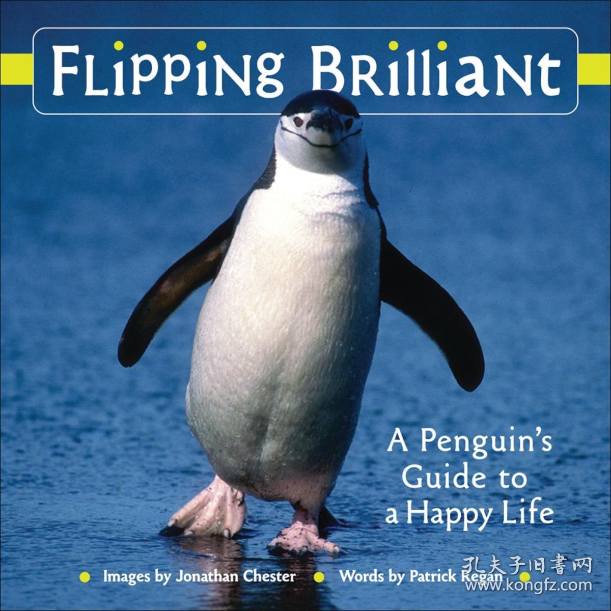 Flipping Brilliant: A Penguin's Guide to a Happy Life