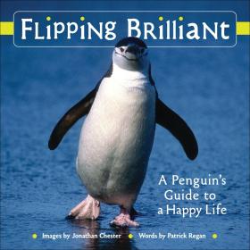 Flipping Brilliant: A Penguin's Guide to a Happy Life