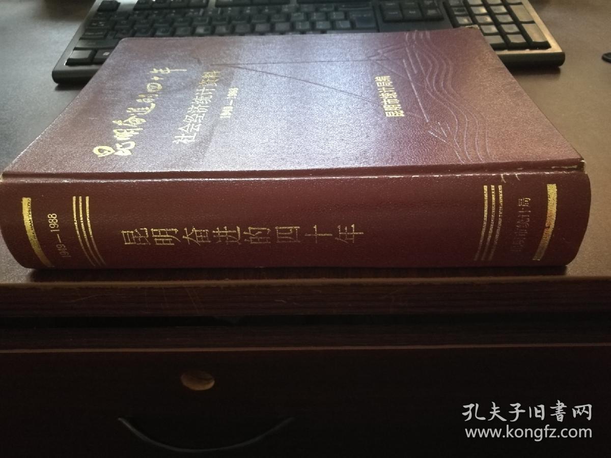 昆明奋进的四十年社会经济资料